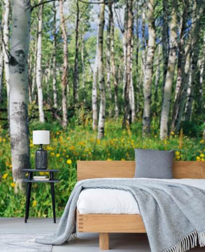 white birch tree woodland with wild yellow flowers wallpaper