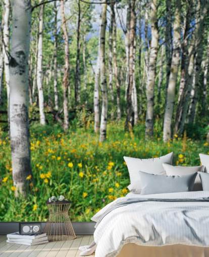 white birch tree woodland with wild yellow flowers wallpaper