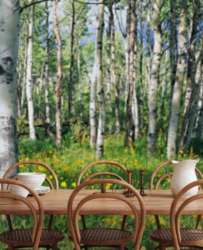 weiße Birke Wald mit wilden gelben Blumen Tapete