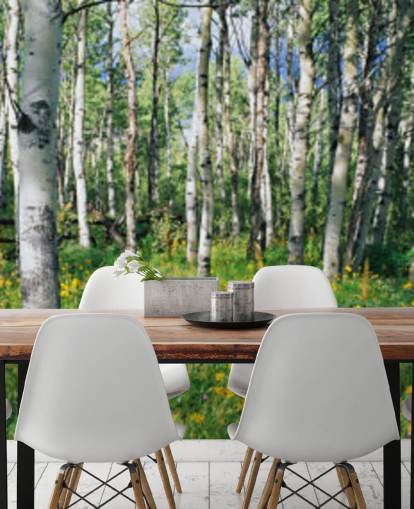 witte berkenboombos met wilde gele bloemen behang