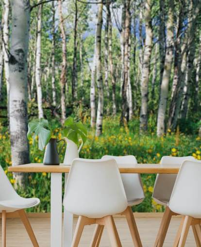 bosque de abedul blanco con papel tapiz de flores amarillas silvestres bosque de abedul blanco con papel tapiz de flores amarillas silvestres
