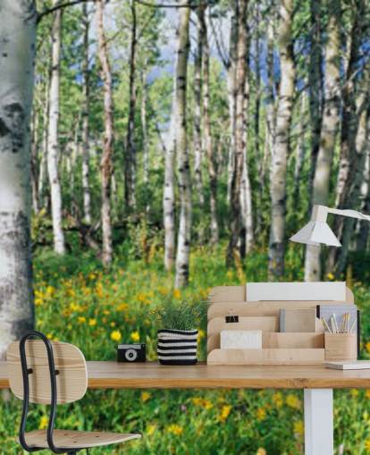 carta da parati bianca con bosco di betulle con fiori gialli selvatici