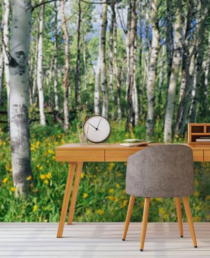 valkoinen koivu metsä luonnonvaraisia keltaisia kukkia tapetti valkoinen koivu metsä luonnonvaraisia keltaisia kukkia tapetti