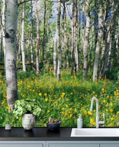 bois de bouleaux blancs avec des fleurs jaunes sauvages papier peint
