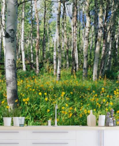 vit björk skogsmark med vilda gula blommor tapeter