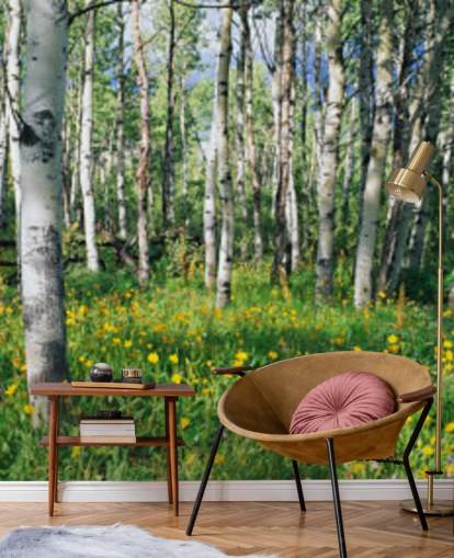 white birch tree woodland with wild yellow flowers wallpaper