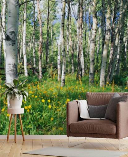 white birch tree woodland with wild yellow flowers wallpaper