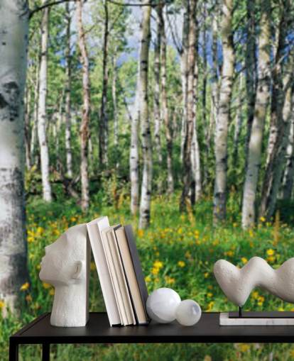 witte berkenboombos met wilde gele bloemen behang