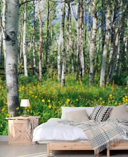 white birch tree woodland with wild yellow flowers wallpaper