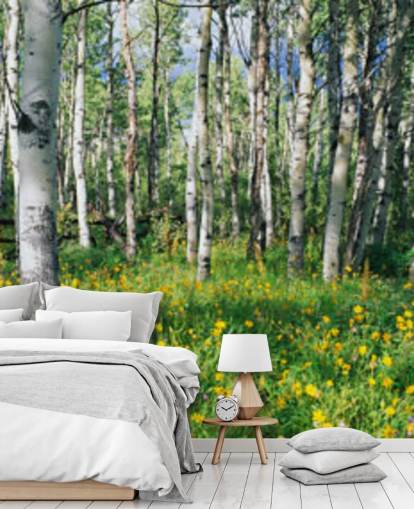 hvid birk træ skov med vilde gule blomster tapet