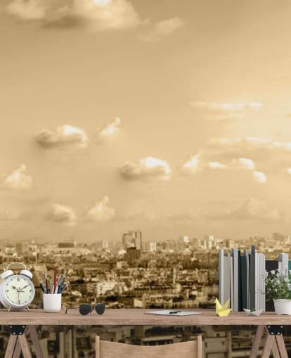 monokrom udsigt over paris tapet