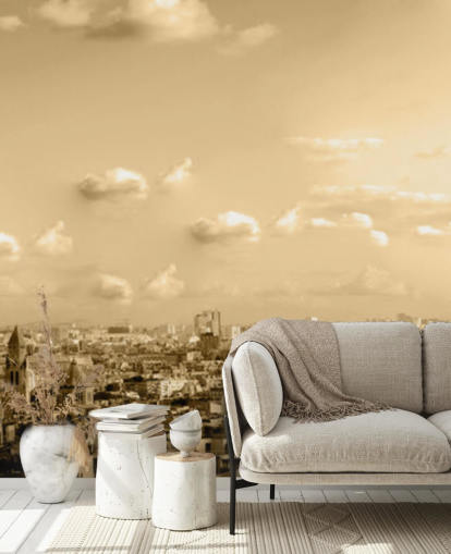 fond d'écran monochrome vue de paris