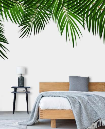 palm leaves at the top of a white background wall mural