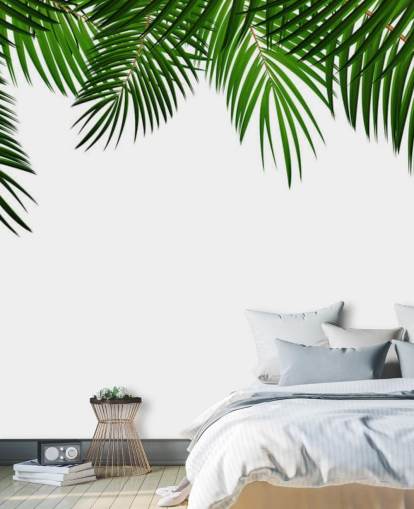 palm leaves at the top of a white background wall mural