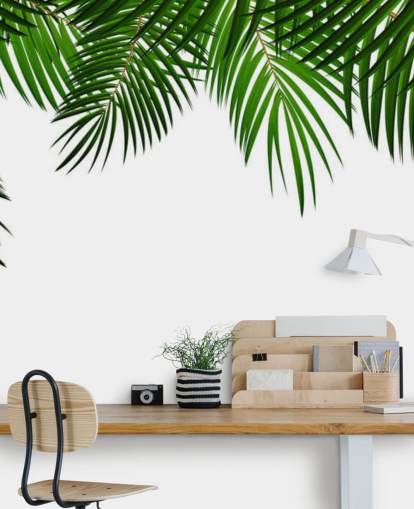 palm leaves at the top of a white background wall mural