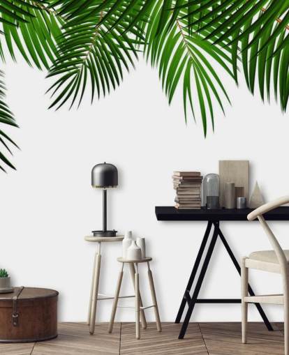 palm leaves at the top of a white background wall mural palm leaves at the top of a white background wall mural