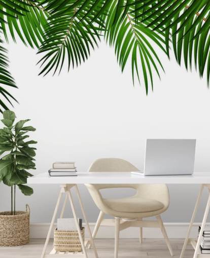 Palmblätter oben auf einem weißen Hintergrund Fototapete Palmblätter oben auf einem weißen Hintergrund Fototapete