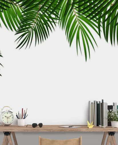 palm leaves at the top of a white background wall mural