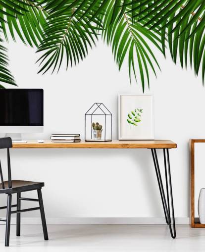 palm leaves at the top of a white background wall mural