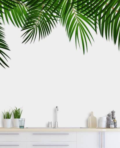 palm leaves at the top of a white background wall mural