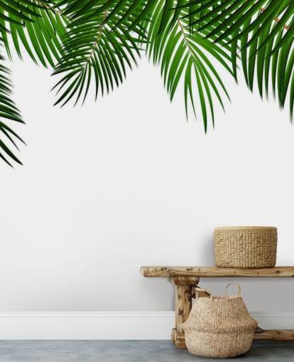 palm leaves at the top of a white background wall mural palm leaves at the top of a white background wall mural