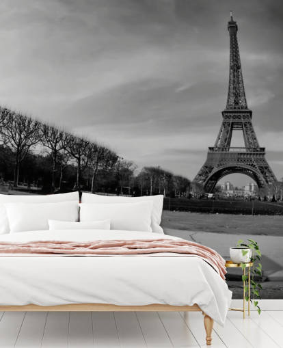 photo noir et blanc de la tour eiffel et du papier peint de voitures anciennes rouge