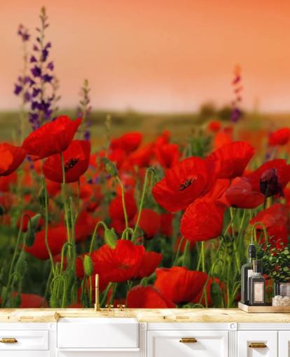Field of Poppies Flower Wallpaper Field of Poppies Flower Wallpaper
