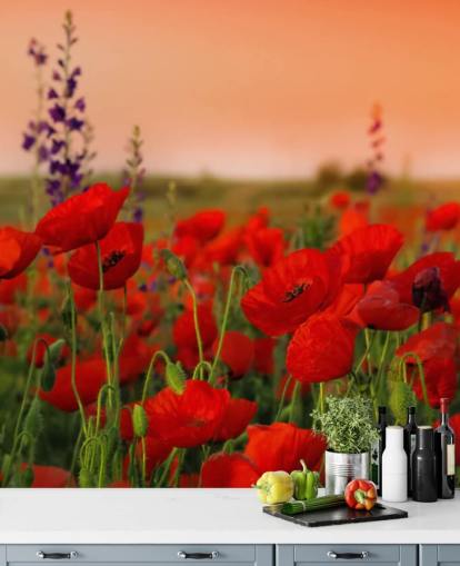 Poppies and Purple Flower Wallpaper