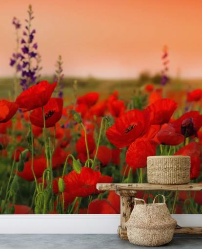 Poppies and Purple Flower Wallpaper