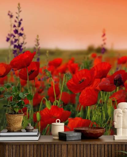Papier peint Coquelicots et fleurs violettes