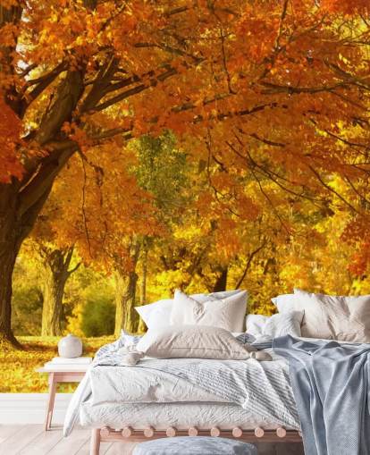 Orange Autumn Scene Wallpaper