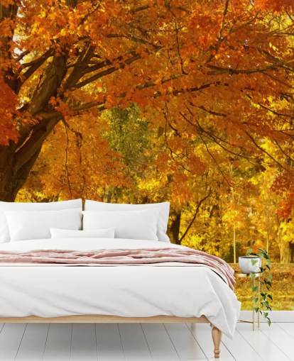 Orange Herbst-Szene-Tapete Orange Herbst-Szene-Tapete