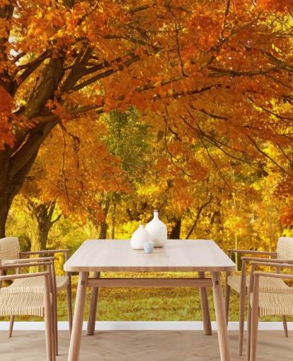 Papel pintado de escena de otoño naranja Papel pintado de escena de otoño naranja