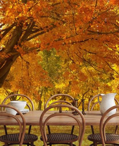 Papel pintado de escena de otoño naranja