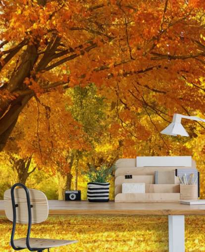 Orange Herbst-Szene-Tapete