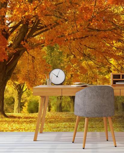 Orange Herbst-Szene-Tapete Orange Herbst-Szene-Tapete