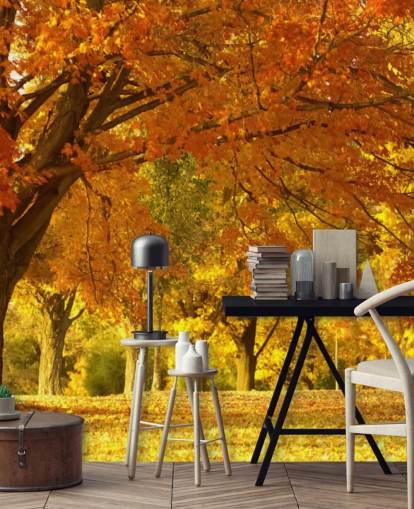 Orange Autumn Scene Wallpaper