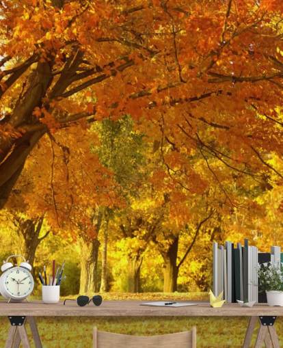 Orange Autumn Scene Wallpaper