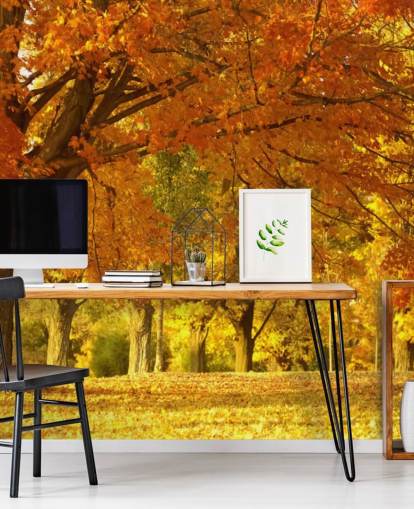 Papel pintado de escena de otoño naranja Papel pintado de escena de otoño naranja