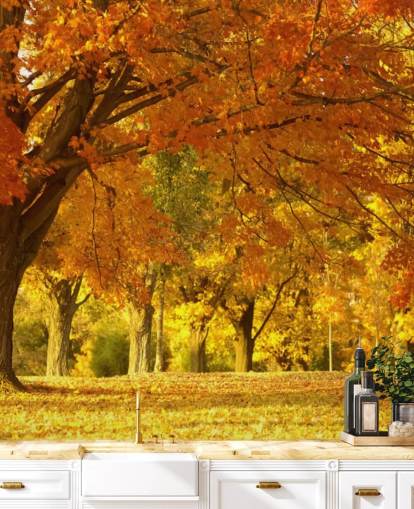 Papel pintado de escena de otoño naranja