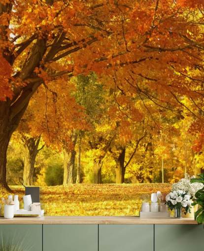 Orange Autumn Scene Wallpaper