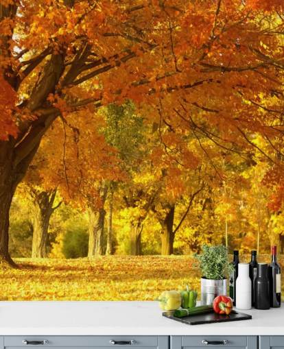 Orange Herbst-Szene-Tapete