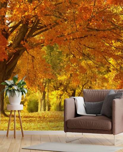 Oranje herfst scène behang Oranje herfst scène behang