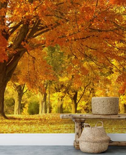 Papel pintado de escena de otoño naranja