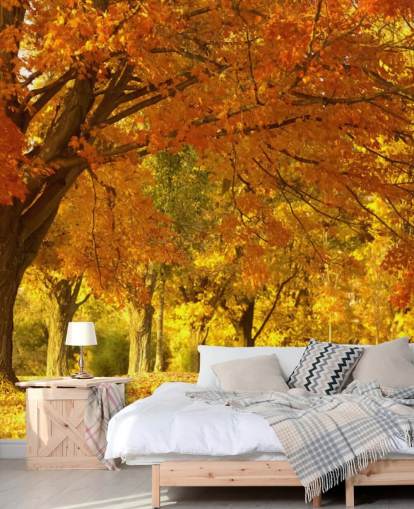 Orange Herbst-Szene-Tapete