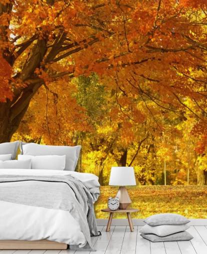 Papel pintado de escena de otoño naranja Papel pintado de escena de otoño naranja