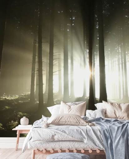 Light and Dark Forest Wall Mural Wallpaper