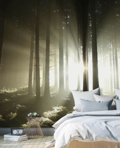 Heller und dunkler Wald Fototapete