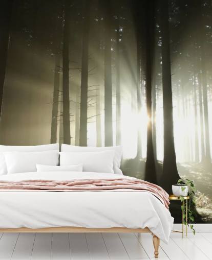Light and Dark Forest Wall Mural Wallpaper