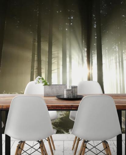 Light and Dark Forest Wall Mural Wallpaper